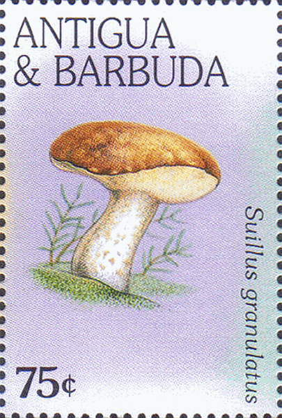 Briefmarke