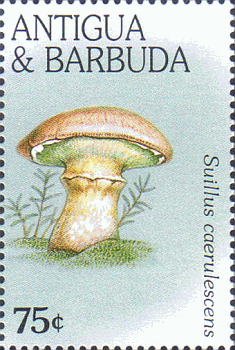 Briefmarke