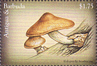 Briefmarke