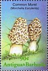 Briefmarke