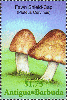 Briefmarke