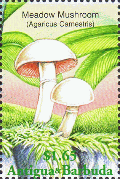 Briefmarke