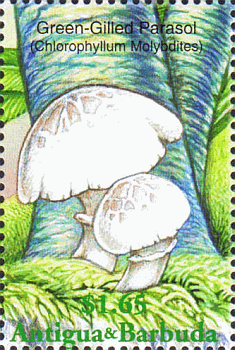 Briefmarke