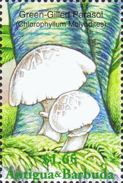 Briefmarke