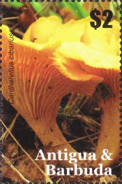 Briefmarke