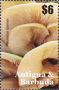 Briefmarke