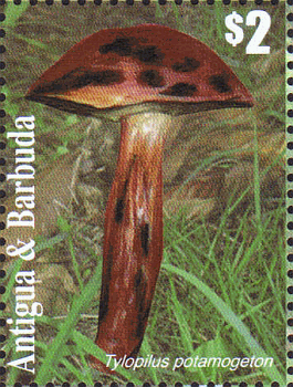 Briefmarke