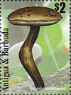 Briefmarke
