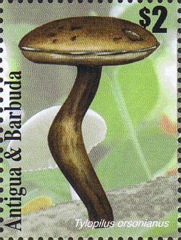Briefmarke