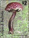 Briefmarke