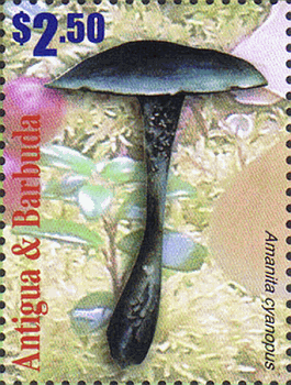 Briefmarke