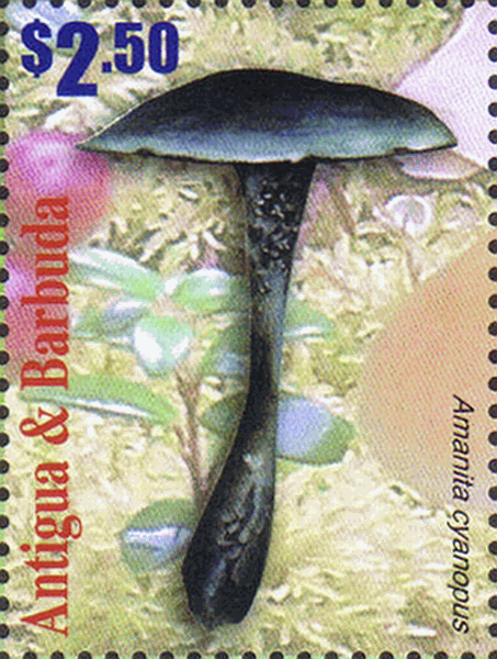Briefmarke