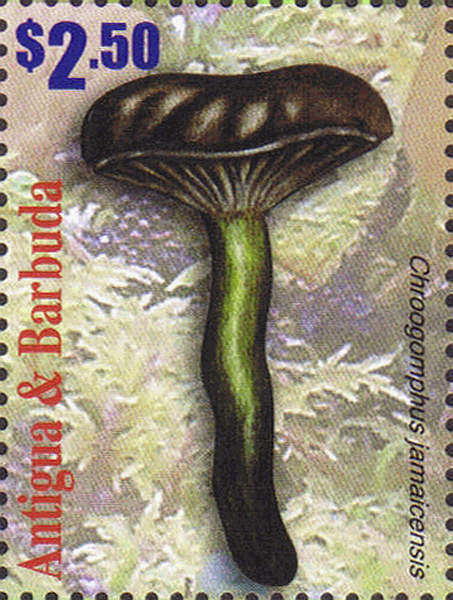 Briefmarke
