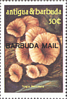 Briefmarke