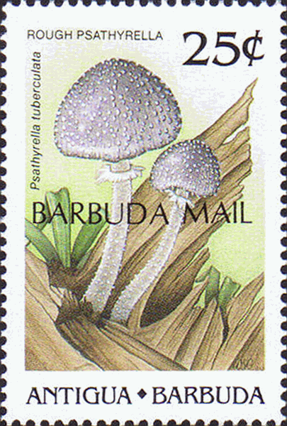 Briefmarke