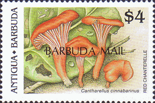 Briefmarke