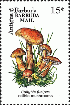 Briefmarke