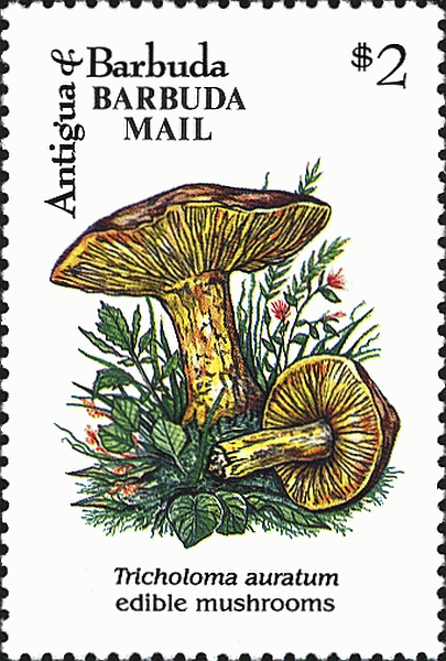 Briefmarke