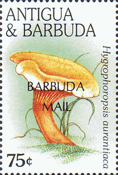 Briefmarke