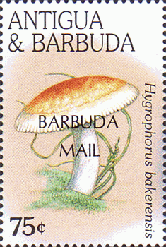 Briefmarke