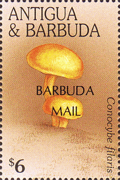 Briefmarke