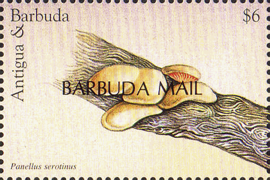 Briefmarke