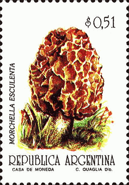 Briefmarke