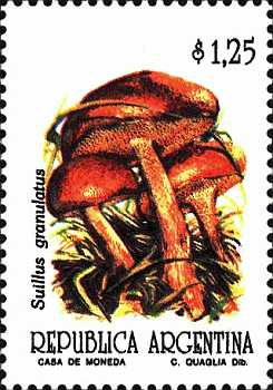 Briefmarke