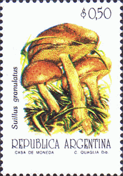 Briefmarke