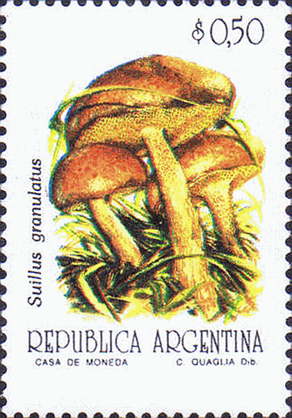 Briefmarke