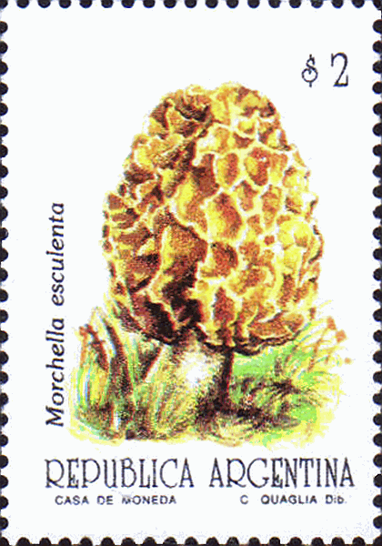 Briefmarke
