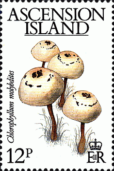 Briefmarke