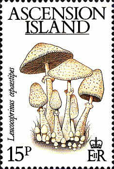 Briefmarke