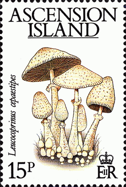 Briefmarke