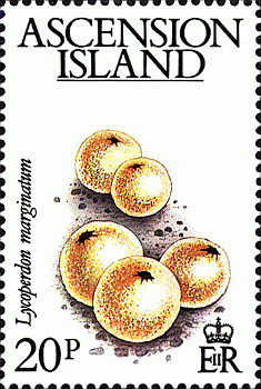 Briefmarke