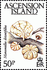 Briefmarke