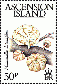 Briefmarke