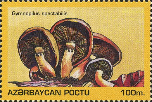 Briefmarke