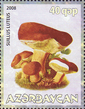 Briefmarke