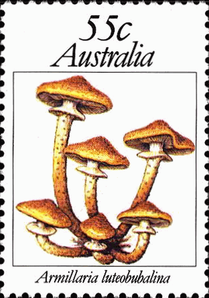 Briefmarke