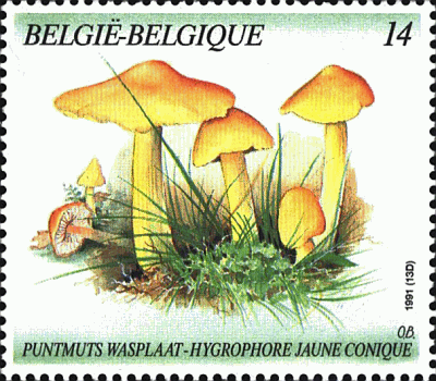 Briefmarke