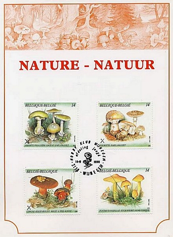 Souvenirbeleg