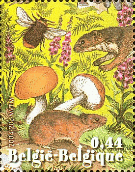 Briefmarke