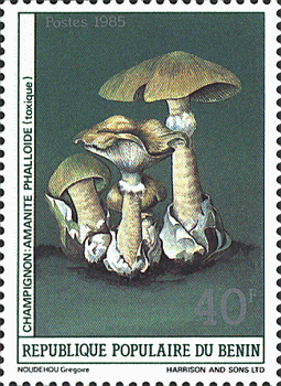 Briefmarke