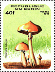 Briefmarke