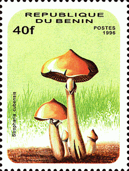Briefmarke