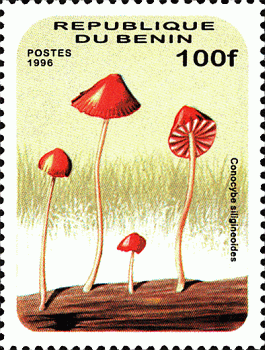 Briefmarke