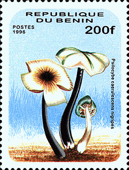 Briefmarke