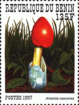 Briefmarke