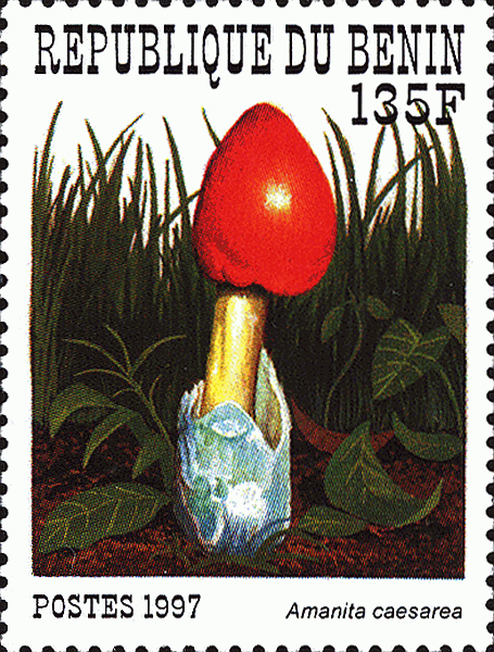 Briefmarke
